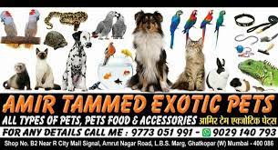 Exotic pets have become more popular thanks to television and movies. Amir Tammed Exotic Pets Home Facebook