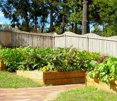 Pin On Gardening