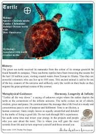 Spirit Animal 6 Turtle Free Oracle Card Turtle Spirit Animal Spirit Animal Totem Spirit Animal Meaning