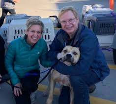 Your donation ensures we can continue to be the first connection for rescue pets and their new families by keeping our pet adoption platform free for all who need it. Blog Archives Page 4 Of 6 Dog Is My Copilot