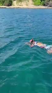 Turista Chinês Captura Ave Rara em Noronha e Paga Caro! 😱