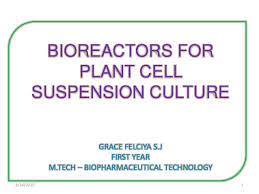We did not find results for: Bioreactors For Plant Cell Suspension Culture