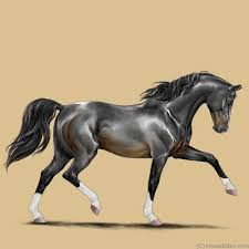 Play horse games where you breed colored and show horses, ponies and magical unicorns. Horse Eden Eventing In 2020 Horses Horse Art Horse Games
