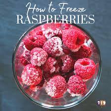 Check spelling or type a new query. How To Freeze Raspberries The Kitchen Garten