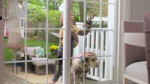 Get free estimates from carpet installers near you or view our carpet cost estimator below. Lowe S Tv Commercial Free Installation Of Stainmaster Carpet 10 Off Petprotect Ispot Tv