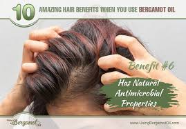 A wide variety of bergamot oil hair options are available to you, such as hair oil, cream. Using Bergamot Oil 10 Amazing Hair Benefits When You Use Bergamot Oil