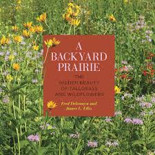 Backyard prairie gardens (or shade gardens) could contribute to the effort to create these corridors, particularly as they serve as examples to neighbors. A Backyard Prairie The Hidden Beauty Of Tallgrass And Wildflowers Delcomyn Fred Ellis James L 9780809338184 Amazon Com Books