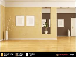 Living room bedroom colour combination asian paints. What Colour Combinations Would Be Best To Paint Your House Quora