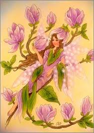 Illustrations Fleurs Animees Christl Vogl Balades Comtoises Fleurs Animees Comment Dessiner Des Fees Art Feerique