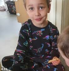 How many more? Four brothers who died in fire when their mother was out  shopping join heartbreaking rollcall of children killed in lockdown after  ANOTHER series of missed opportunities by social services |