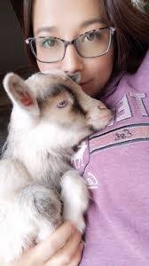 Joni Mcdaniel's Instagram, Twitter & Facebook