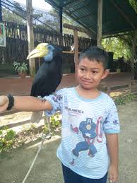 Taman burung pulau pinang (penang bird park). Jalan Jalan Taman Burung Seberang Jaya