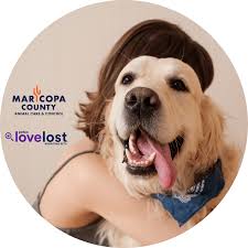 Image result for lost dog