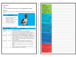 Gcse Pe Edexcel 9 1 10 X Structure Strips Part 1 Anatomy Physiology Extended Question Teaching Resources