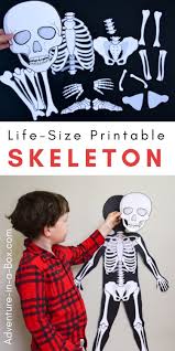 Life Size Printable Skeleton For Kids Skeleton For Kids Body Preschool Human Body Activities