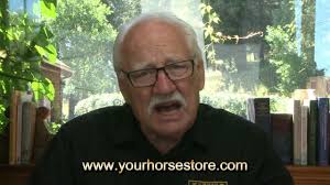 YourHorseStore.com