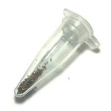 Amazon | [生き餌屋] カブトエビ 卵 淡水 飼育 観察 自由研究 (淡水 カブトエビ 卵 1カプセル) | IKIESA-YA |  観賞魚・水中生物 通販