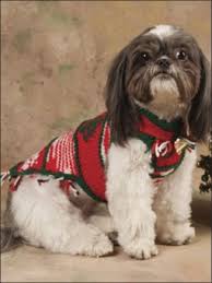 Whip up a sweater for your pup using this free crochet pattern. Top 10 Free Knitting Patterns For Cats And Dogs