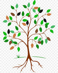 When drawing a large tree with branches you're going to want to start by. Clip Art Root Leaf Tree Png 743x1024px Root Botany Branch Drawing Flower Download Free