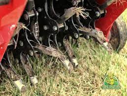 Saskatoon 25/06/2021 providing quality lawn care, landscaping, and maintenance. Saskatoon Aeration Eenie Meenie Miny Mow