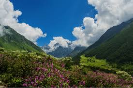 Valley of flowers national park location, timings, entry fee, best time to visit, reach valley of flowers, trek and flowers' information prepration of trek. Valley Of Flowers Trek A Complete Travel Guide For Travelers