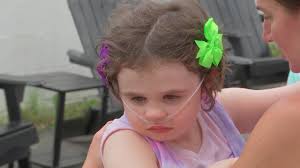 Bear helps itself to 60 cupcakes from Connecticut bakery, scares employees 