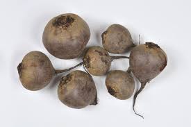 Image result for root-tail