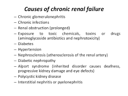 Renal disease can be divided into disease without failure of kidney function and kidney failure itself these sections of the chapter review the main classication systems and causes of renal disease. Acute And Chronic Renal Failure