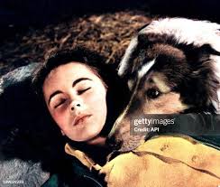 403 Taylor Wilcox Stock Photos, High-Res Pictures, and Images