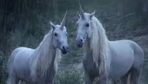 images?q=tbn%3AANd9GcQXflQrvJhXo5Yha8DtrB8s7oabo7d6cycs_Q&usqp=CAU