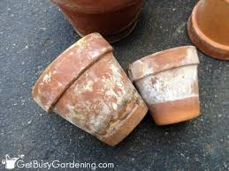 Pots and pans won't clean themselves. How To Clean Terracotta Pots Clean Clay Pots In 3 Easy Steps