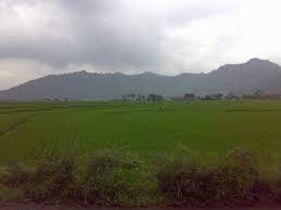 كل تحمل رواية من الـ الإغراء والرغبة تتطلع من الـ يستكشفها