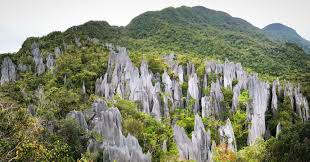 Booking.com has been visited by 1m+ users in the past month A Journey Of A Thousand Steps Hiking The Headhunter S Trail And Pinnacles Of Mulu National Park