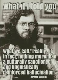 Krasna malanka is a story about people from romanian village krasna on the territory of ukraine, which are getting prepared. 85 Open Your Mind Ideas Citaty Zachrana Zvirat Kvantova Fyzika