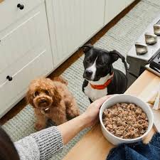 Choosing between fresh dog food delivery services is a difficult choice when so many of them, including ollie and the farmer's dog, have similar offerings and pricing. 10 Best Dog Foods 2021 The Strategist New York Magazine