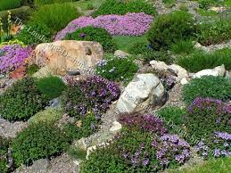 Wedding Pics Idea Jardineria Para Ladera Paisaje En Pendiente Paisajismo Con Rocas