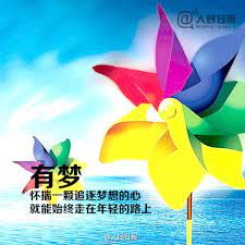 sina visitor system