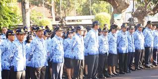 Desain dan fitur website yang akan dibuat yaitu seperti. Begini Cara Mudah Cek Nip Dan Data Profil Pns Smartpresence