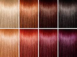 And when it comes to hair colors, brown might be simple and classic, but it doesn't have to be boring.it's all about finding the right brown hair color for your skin tone.there are countless brown hues that are breathtaking—they even pop on all those fuzzy virtual calls. 4 617 Hair Color Swatch Stock Photos Pictures Royalty Free Images Istock