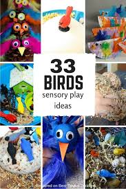 Bird Activities For Preschoolers 33 Bird Sensory Play Ideas For Kids Sensory Play Sensory Activities Toddler Activities