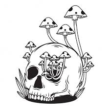 Black And White Mushroom Drawing Black And White Skull With Mushroom In 2020 Trippy Drawings Skeleton Drawings Psychedelic Drawings