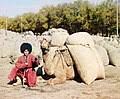Wikipedia en inglés simple (es); Camel Simple English Wikipedia The Free Encyclopedia