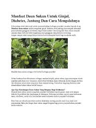 Beberpa perusahaan obat herbal besar pun gencar membuat ekstrak daun sukun yang bermanfaat untuk tubuh. Manfaat Daun Sukun Untuk Ginjal