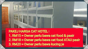 Sebenarnya untuk hotel murah di puncak dekat dengan taman safari ini jumlahnya tidak begitu banyak. Fiza Aliff Pet Shop Cat Hotel Johor Bahru Pet Boarding Service In Bandar Baru Uda Johor Bahru