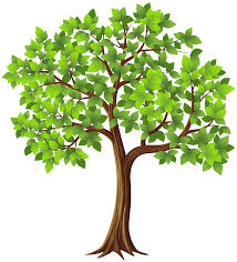 Tree PNG Transparent Clip Art Image​ | Gallery Yopriceville - High-Quality  Free Images and Transparent PNG Clipart