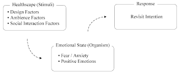 1 bone fill in the gap between the implant and the peripheral bone is important. Ijerph Free Full Text Facilitating Green Supply Chain In Dental Care Through Kansei Healthscape Of Positive Emotions Html
