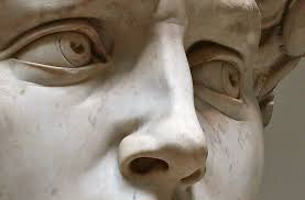 Image result for NOSE