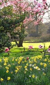 Printemps Fleurs Bourgeons Le Printemps By Lea Paysages Printemps Beaux Jardins Et Fleurs Printemps