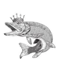 Queen Pike By Pavel Kargin Via Behance Pike Art Fish Illustration Fish Drawings