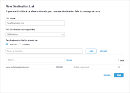Add A Dns Policy